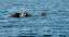 _DSC4940_edited-1