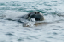_DSC4970_edited-1