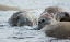 _DSC5042_edited-1