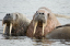 _DSC5044_edited-1