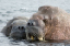 _DSC5046_edited-1