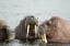 _DSC5051_edited-1