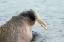 _DSC5074_edited-1