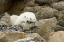 _DSC5090_edited-1