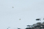 _DSC5199_edited-1