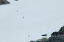 _DSC5216_edited-1