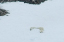 _DSC5298_edited-1