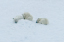 _DSC5302_edited-1