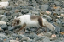 _DSC5369_edited-1