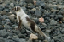 _DSC5376_edited-1