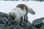 _DSC5398_edited-1