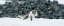 _DSC5407_edited-1
