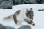 _DSC5409_edited-1