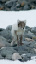 _DSC5413_edited-1