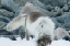 _DSC5416_edited-1