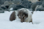 _DSC5421_edited-1