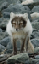 _DSC5429_edited-1