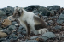 _DSC5440_edited-1