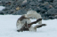 _DSC5444_edited-1