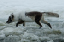 _DSC5453_edited-1