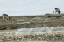_DSC5527_edited-1