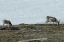 _DSC5528_edited-1