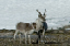 _DSC5538_edited-1