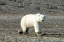 _DSC5610_edited-1