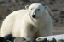 _DSC5639_edited-1