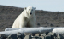_DSC5645_edited-1