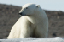 _DSC5647_edited-1