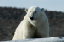 _DSC5650_edited-1