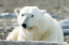 _DSC5671_edited-1