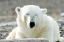 _DSC5685_edited-1