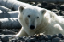_DSC5723_edited-1