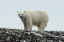 _DSC5826_edited-1