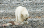 _DSC5853_edited-1
