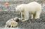 _DSC5930_edited-1