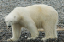 _DSC5997_edited-1