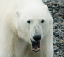 _DSC6027_edited-1