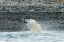 _DSC6029_edited-1