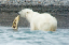 _DSC6044_edited-1