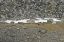 _DSC6121_edited-1