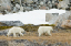 _DSC6125_edited-1