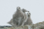 _DSC6442_edited-1