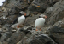 _DSC6467_edited-1