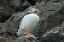 _DSC6476_edited-1