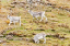 _DSC6527_edited-1