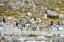 _DSC6564_edited-1
