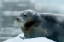 _DSC6627_edited-1